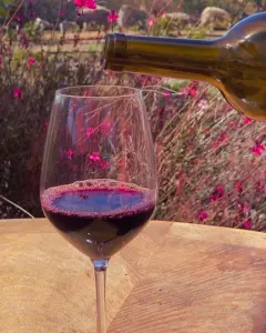best winery in san diego