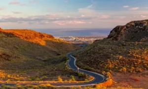 San Diego to Phoenix Drive