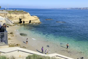 Coastal Beach